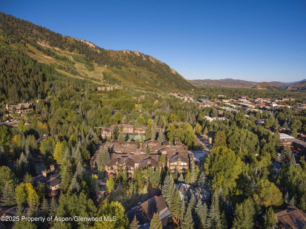 45 of 51 - 610 S West End Street D206, Aspen, CO
