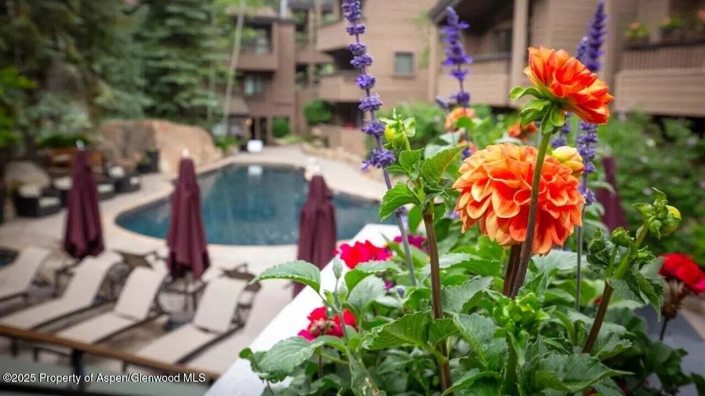 46 of 51 - 610 S West End Street D206, Aspen, CO