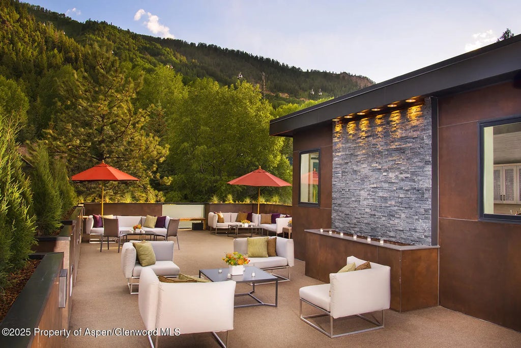 49 of 51 - 610 S West End Street D206, Aspen, CO