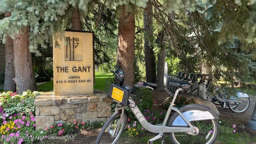 51 of 51 - 610 S West End Street D206, Aspen, CO