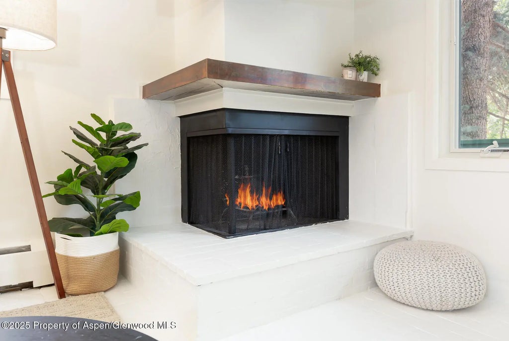 7 of 20 - 415 Park Circle 5, Aspen, CO