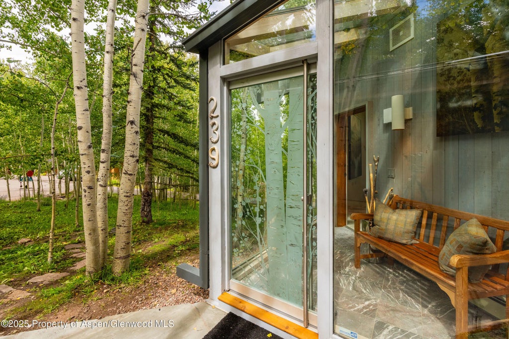 31 of 51 - 239 Antler Ridge Lane, Snowmass Village, CO
