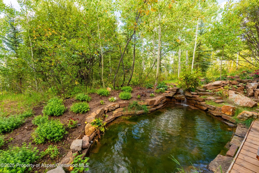 38 of 51 - 239 Antler Ridge Lane, Snowmass Village, CO