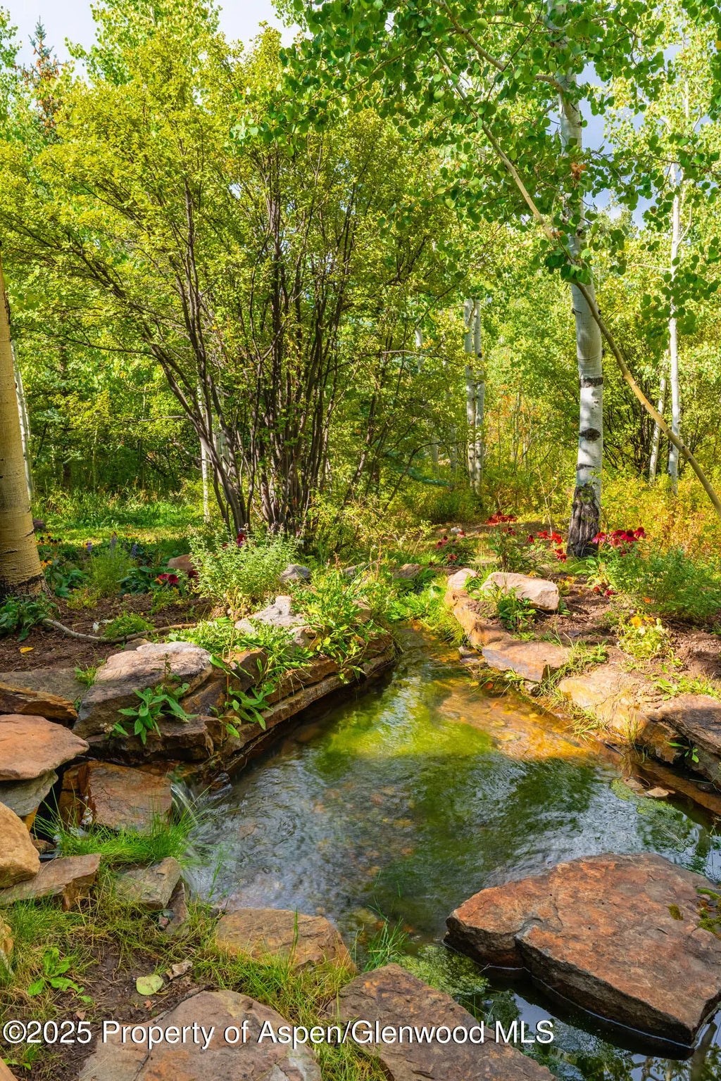 39 of 51 - 239 Antler Ridge Lane, Snowmass Village, CO