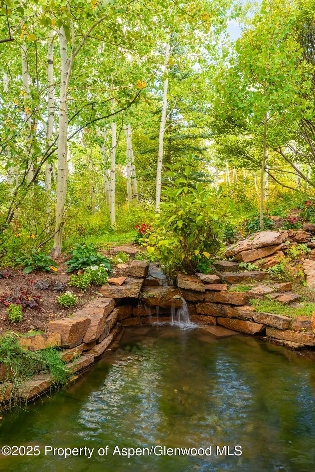 41 of 51 - 239 Antler Ridge Lane, Snowmass Village, CO