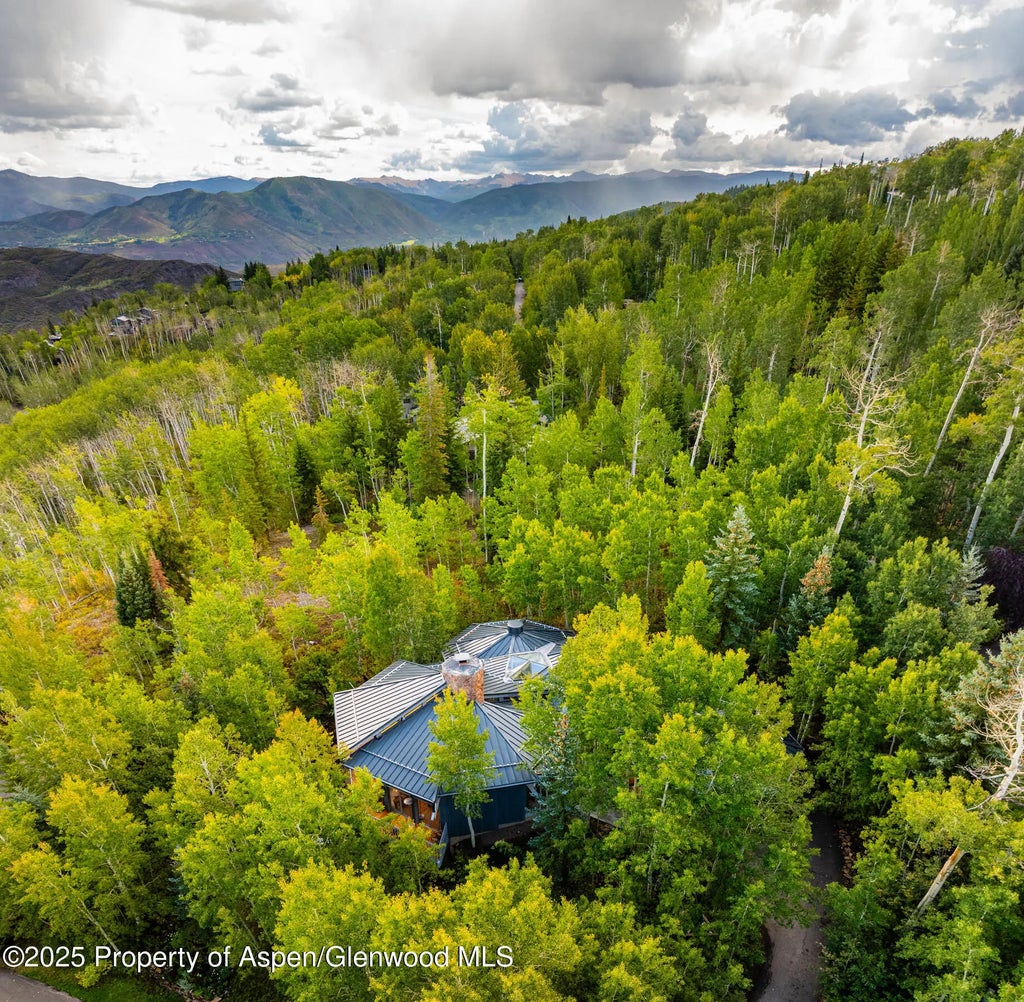 44 of 51 - 239 Antler Ridge Lane, Snowmass Village, CO