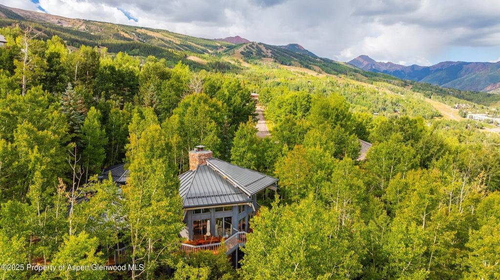 46 of 51 - 239 Antler Ridge Lane, Snowmass Village, CO