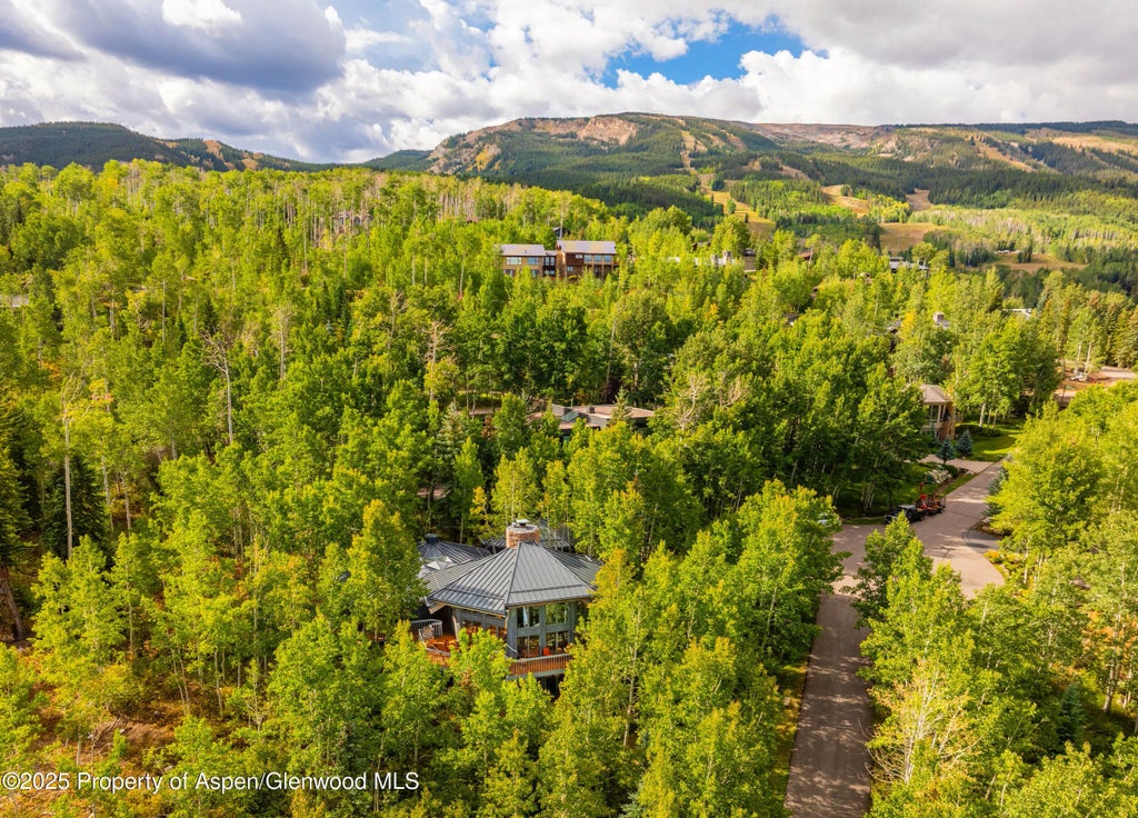 47 of 51 - 239 Antler Ridge Lane, Snowmass Village, CO