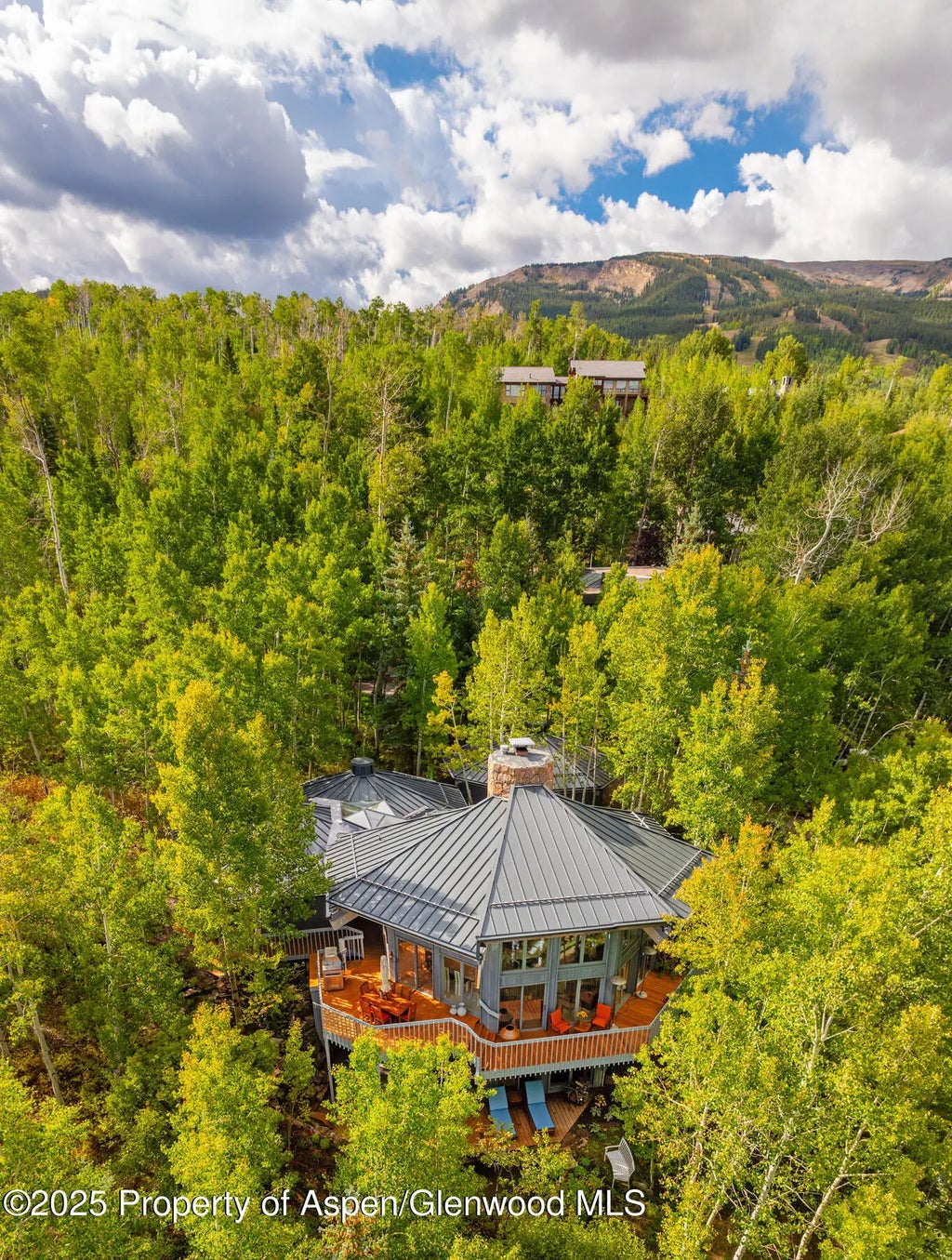 48 of 51 - 239 Antler Ridge Lane, Snowmass Village, CO