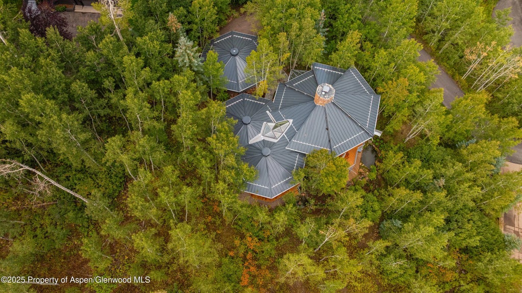 51 of 51 - 239 Antler Ridge Lane, Snowmass Village, CO
