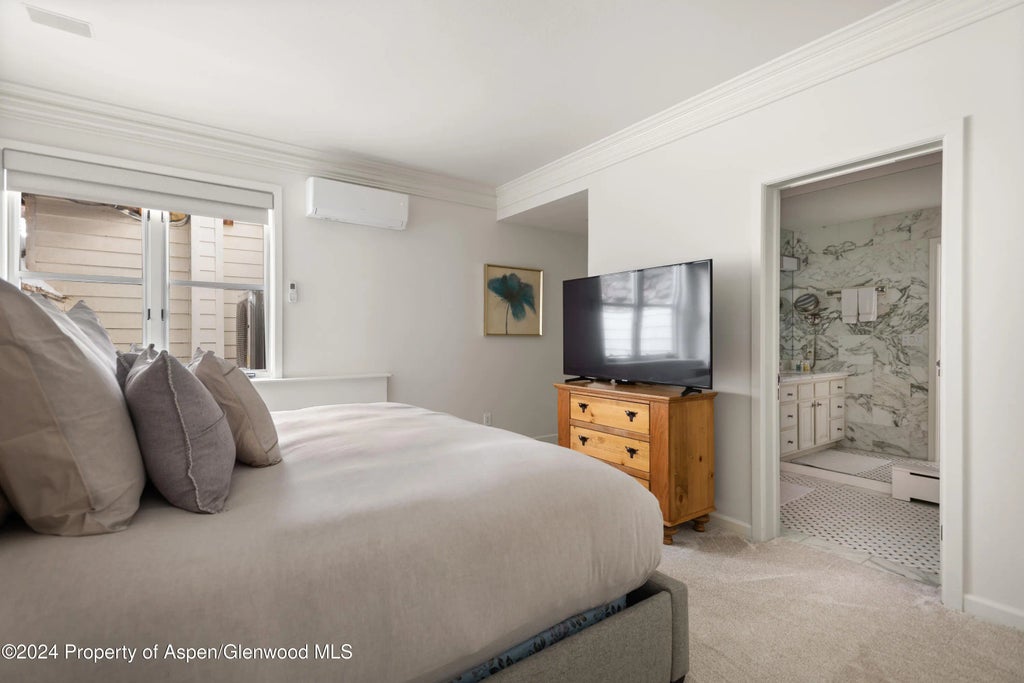 31 of 40 - 901 Ute Avenue, Aspen, CO