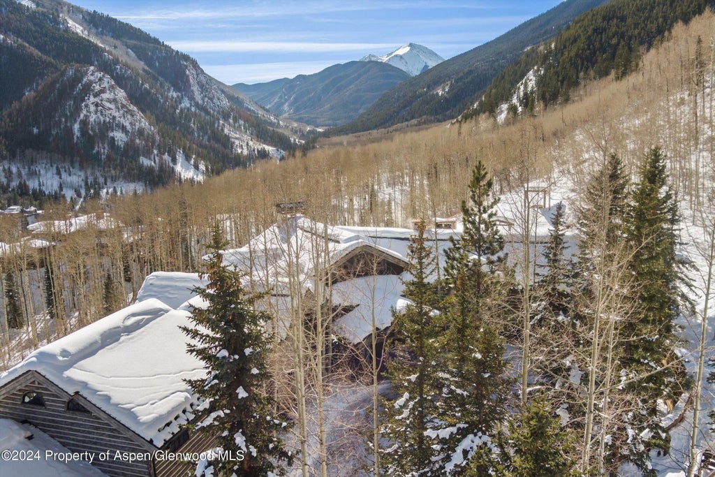 54 of 63 - 931 N Hayden Road, Aspen, CO