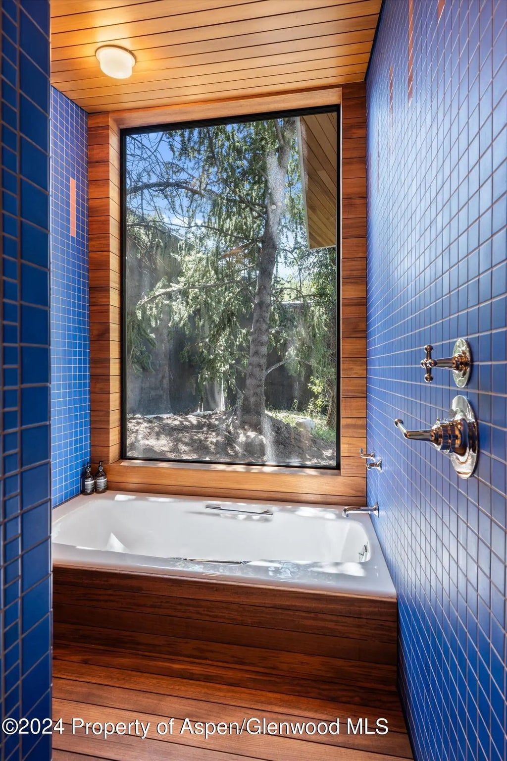 19 of 57 - 701 Gibson Avenue, Aspen, CO