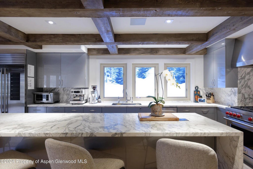 12 of 31 - 123 Larkspur Lane, Aspen, CO