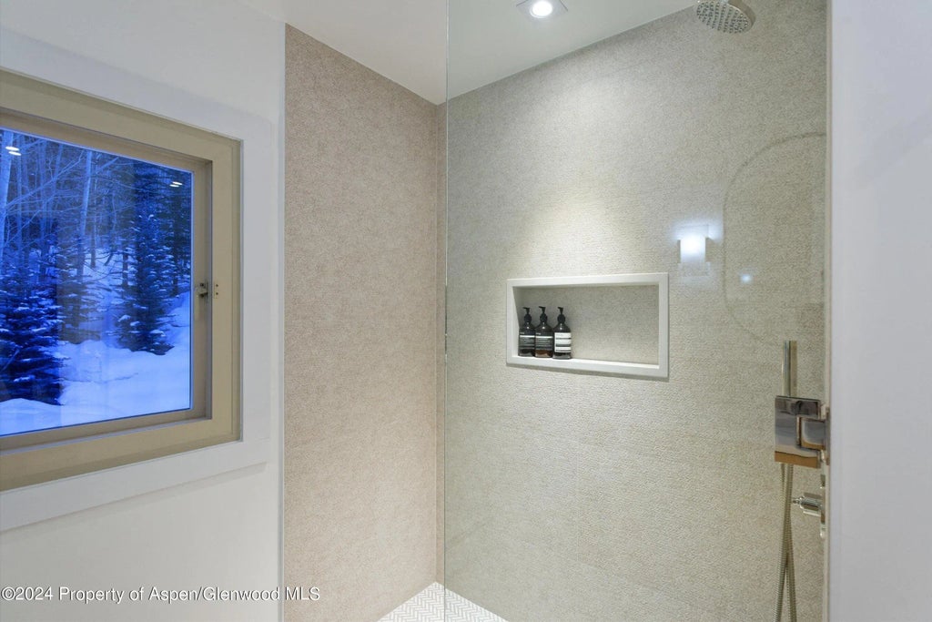 25 of 31 - 123 Larkspur Lane, Aspen, CO