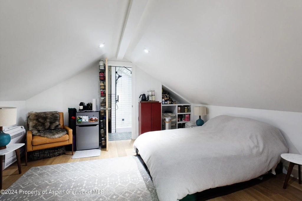 30 of 31 - 123 Larkspur Lane, Aspen, CO