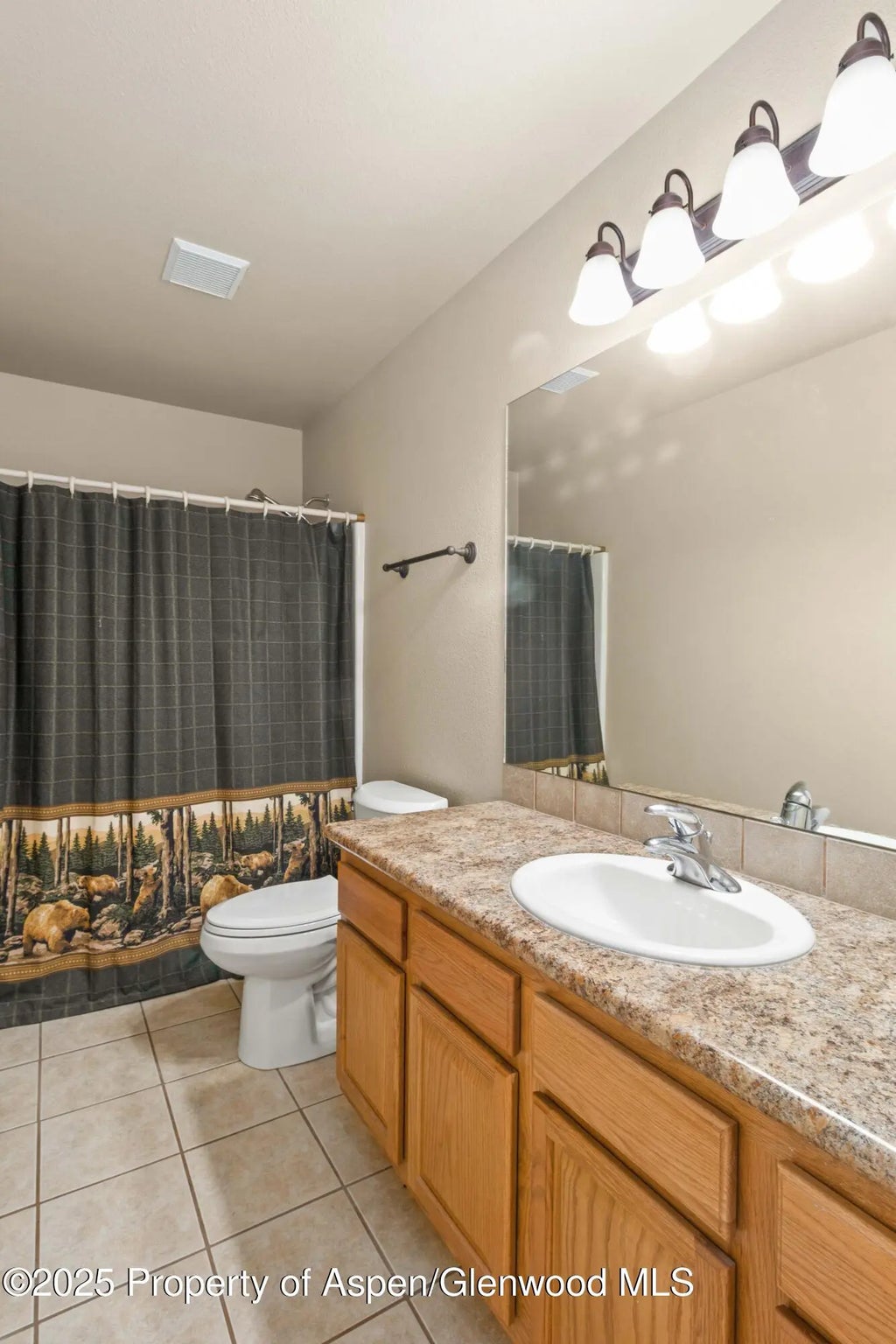 9 of 26 - 140 Anvil Lane, Parachute, CO