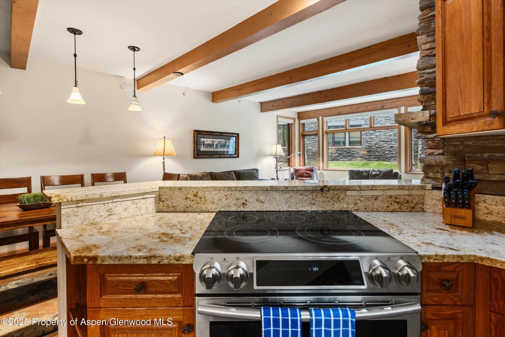 11 of 37 - 600 Carriage Way K9&10, Snowmass Village, CO