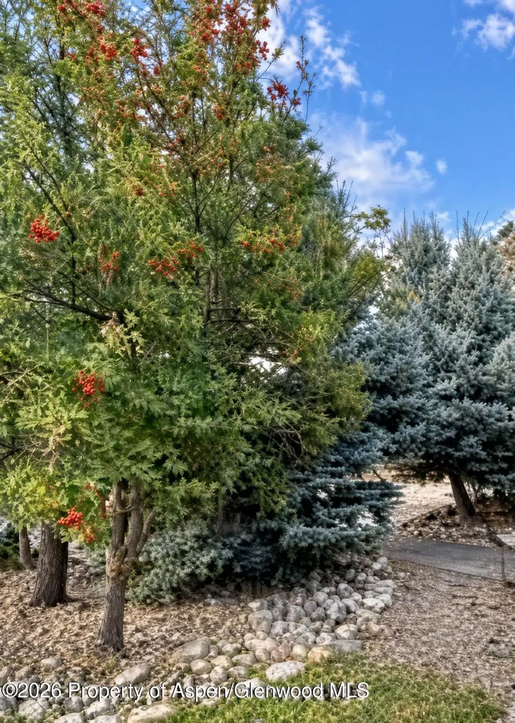 16 of 20 - 228 N 7th Street, New Castle, CO