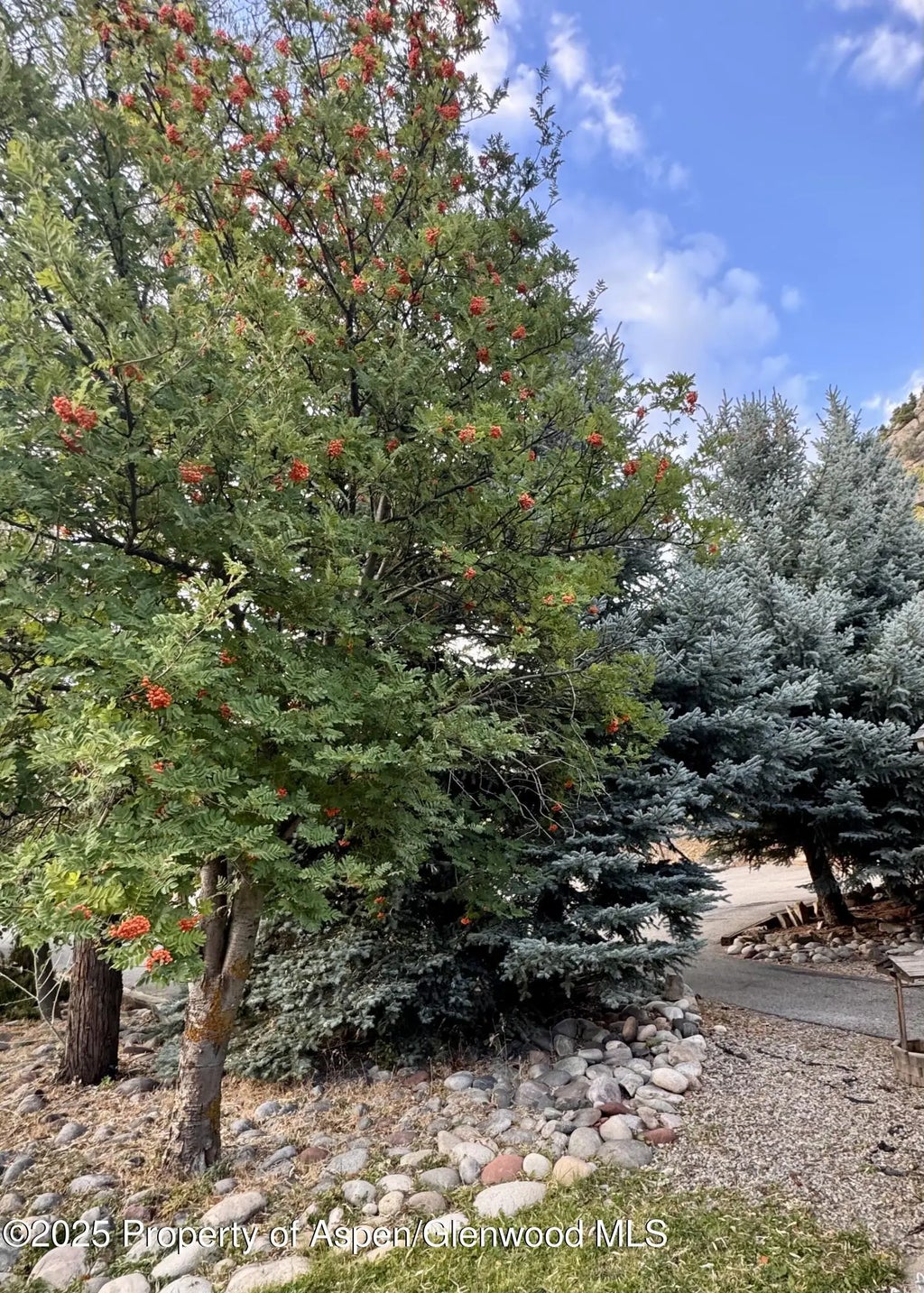 4 of 24 - 228 N 7th Street, New Castle, CO