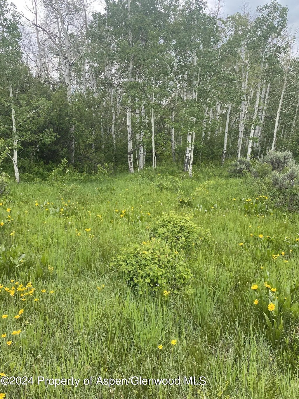 27 of 48 - 242 Boulder Drive, Craig, CO