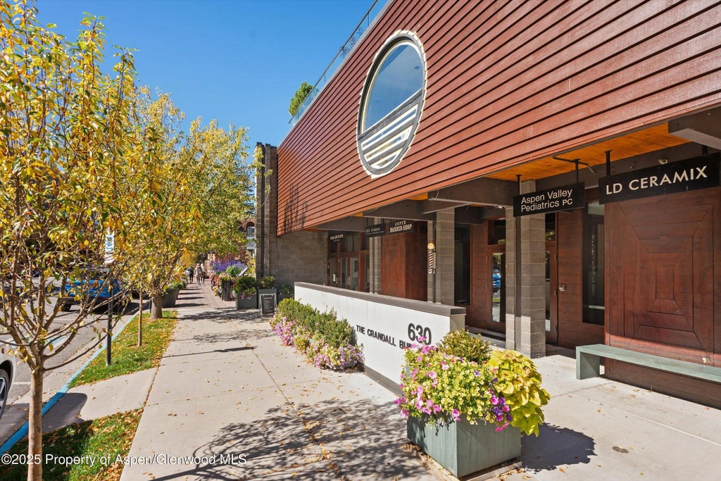 1 of 18 - 630 E Hyman Avenue 203, 204, 205 & 206, Aspen, CO