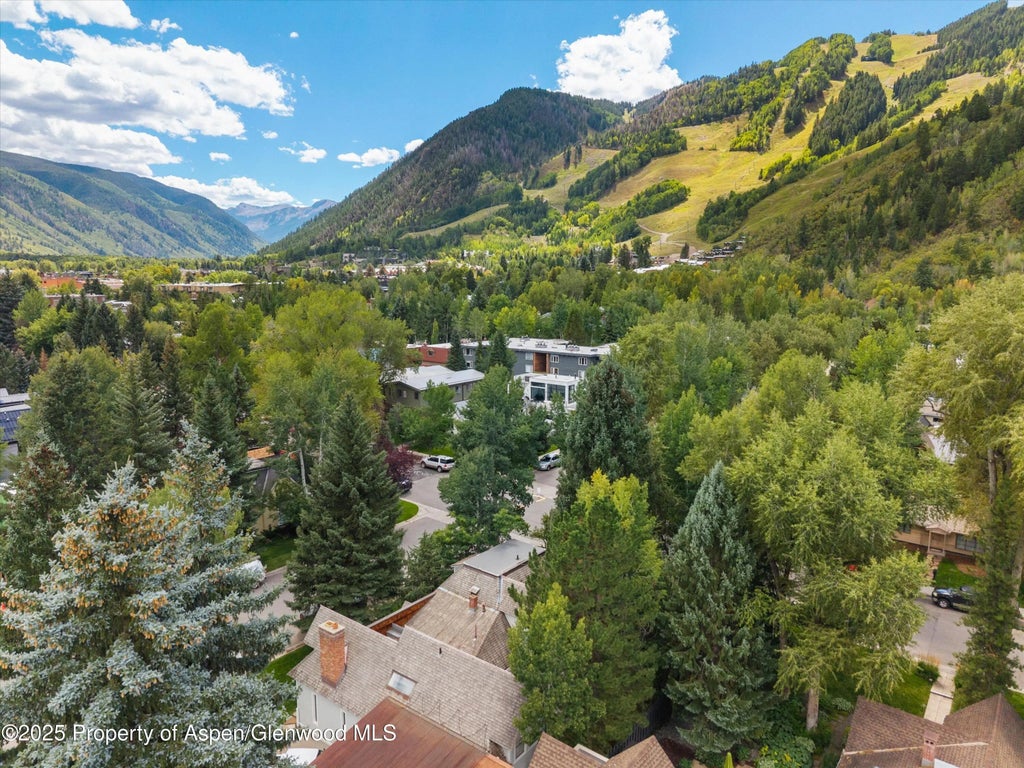 39 of 39 - 200 W Hopkins Avenue, Aspen, CO