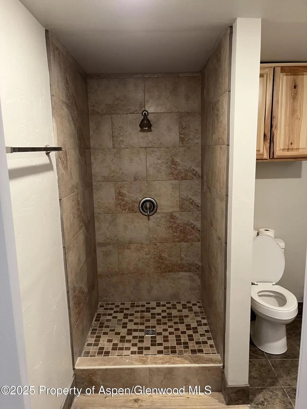 18 of 22 - 6702 Highway 82, Glenwood Springs, CO