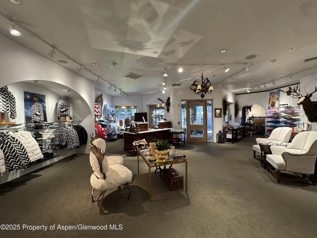 12 of 23 - 419 E Cooper Avenue, Aspen, CO