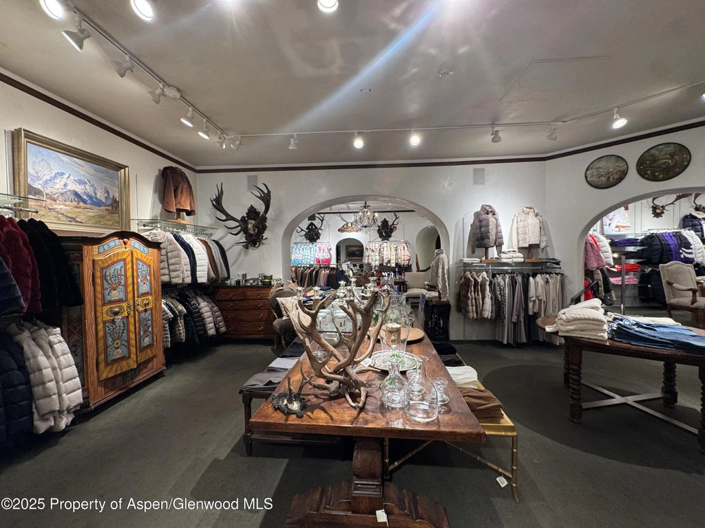 13 of 23 - 419 E Cooper Avenue, Aspen, CO