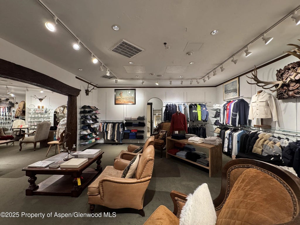 18 of 23 - 419 E Cooper Avenue, Aspen, CO