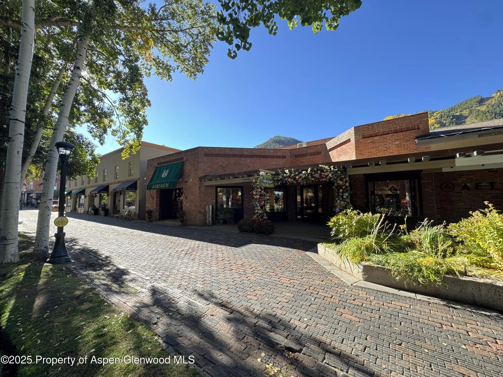 4 of 23 - 419 E Cooper Avenue, Aspen, CO