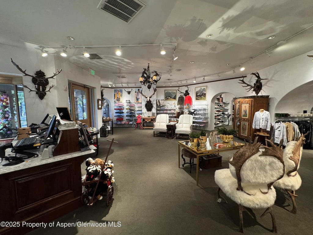 9 of 23 - 419 E Cooper Avenue, Aspen, CO