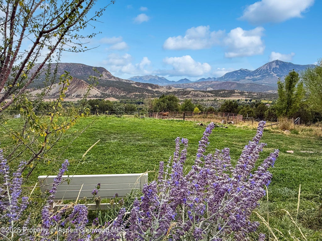 35 of 35 - 41263 133 Highway, Paonia, CO