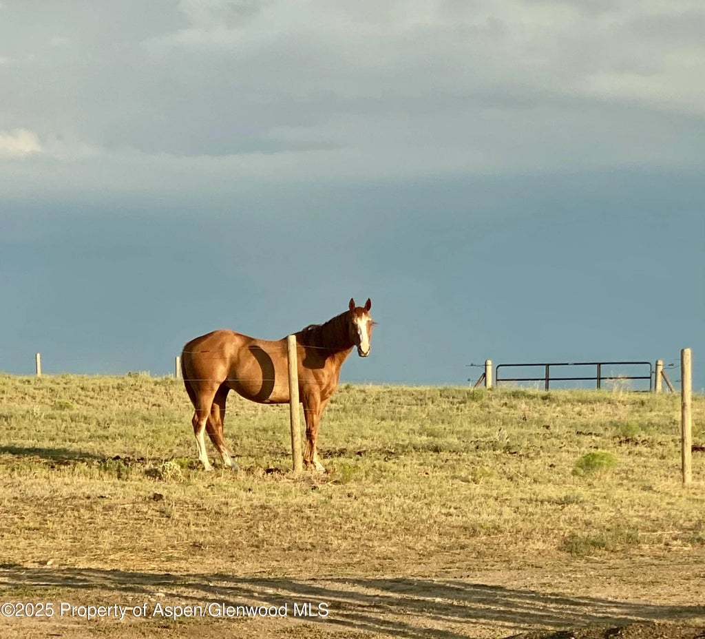 85 of 85 - 545 Knoll Avenue, Craig, CO