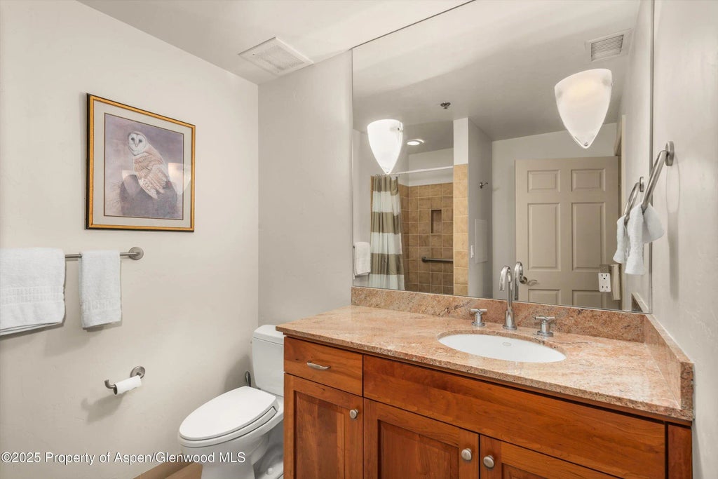 30 of 44 - 227 Midland Avenue 22, Basalt, CO