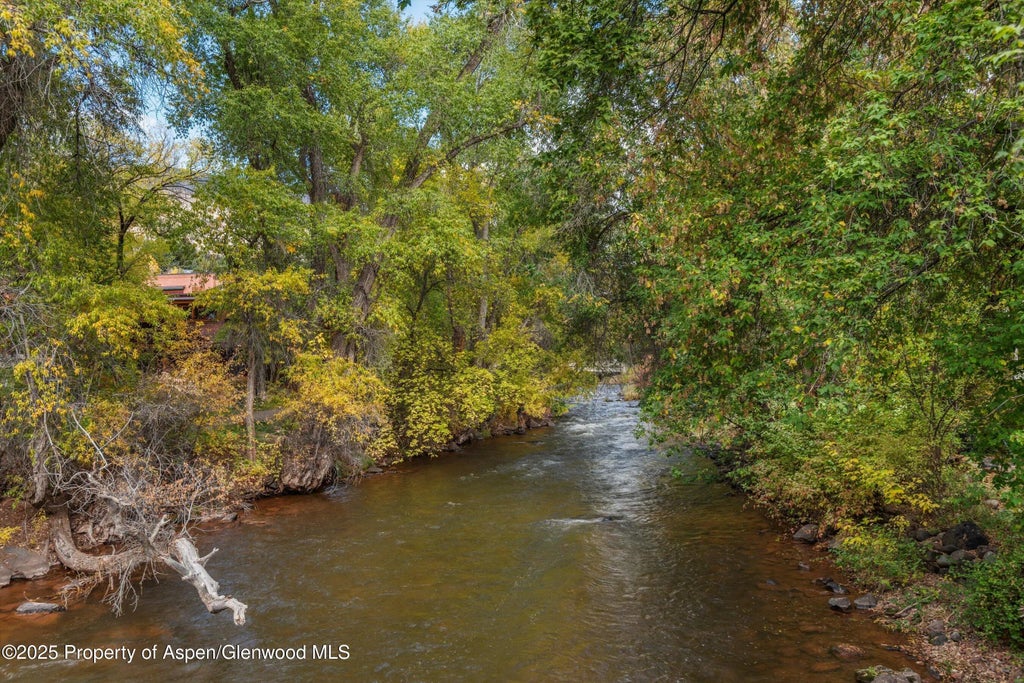 42 of 44 - 227 Midland Avenue 22, Basalt, CO