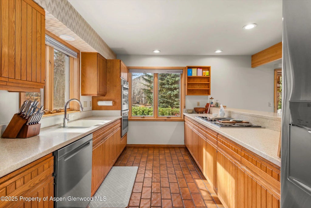 14 of 33 - 28 Larkspur Lane, Aspen, CO