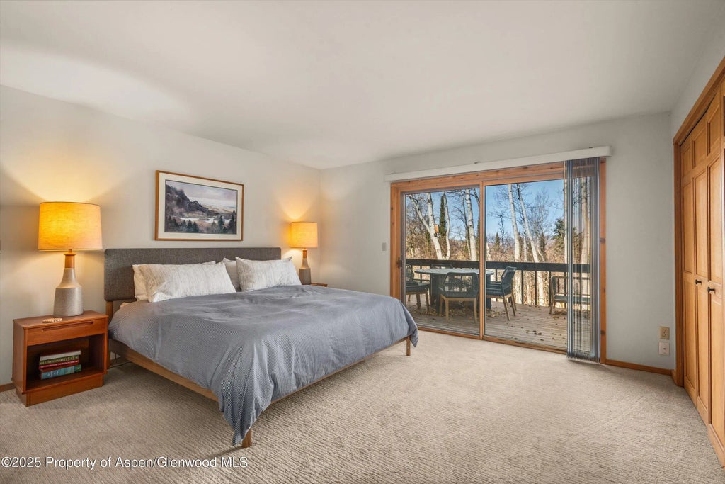 16 of 33 - 28 Larkspur Lane, Aspen, CO