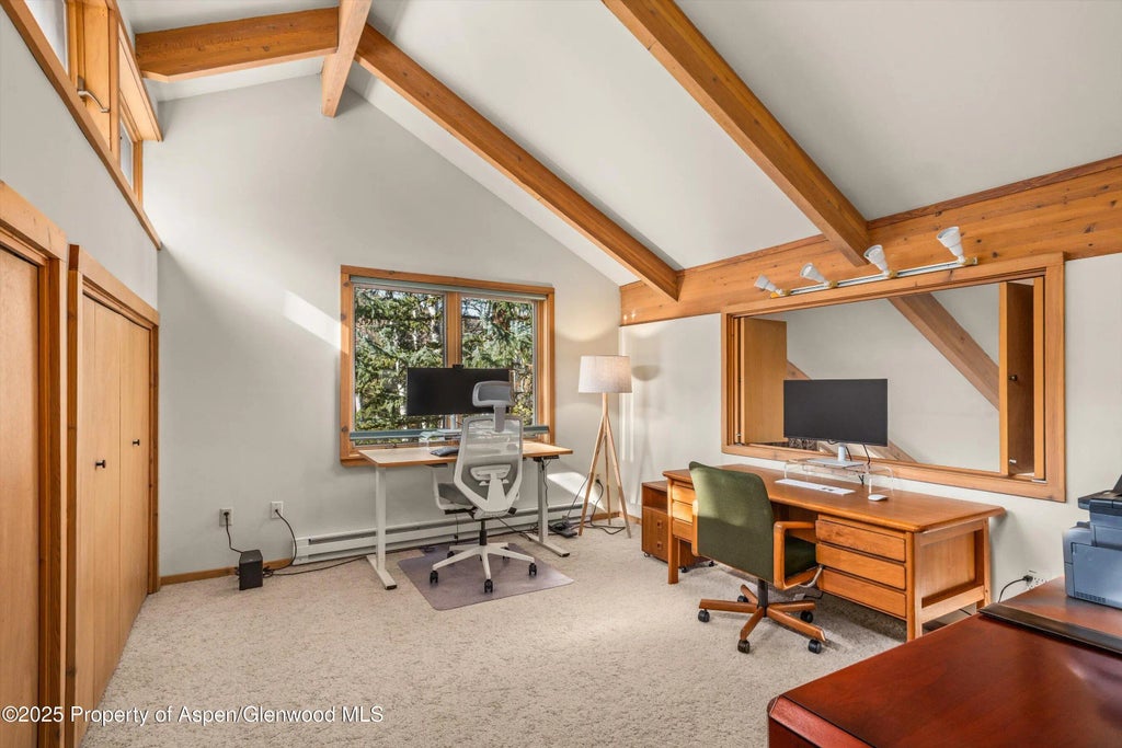 18 of 33 - 28 Larkspur Lane, Aspen, CO