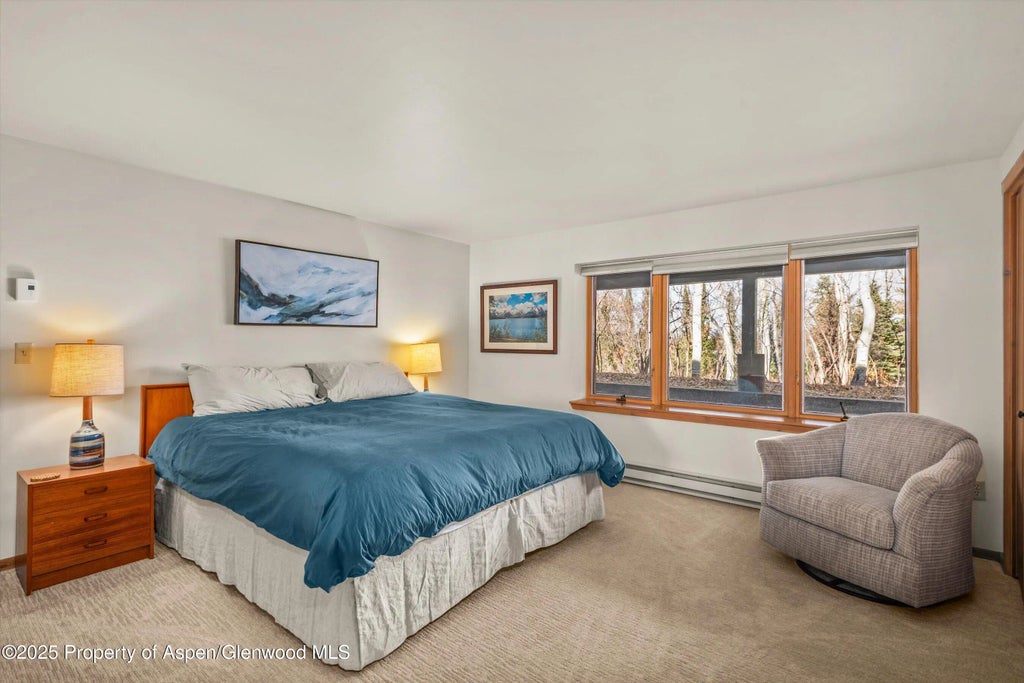 27 of 33 - 28 Larkspur Lane, Aspen, CO