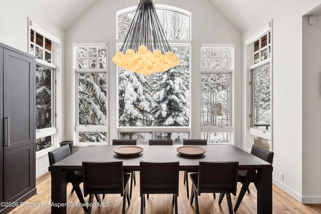 48 of 59 - 971 Ute Avenue, Aspen, CO
