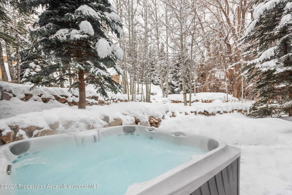 54 of 59 - 971 Ute Avenue, Aspen, CO