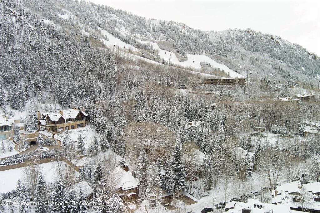 55 of 59 - 971 Ute Avenue, Aspen, CO