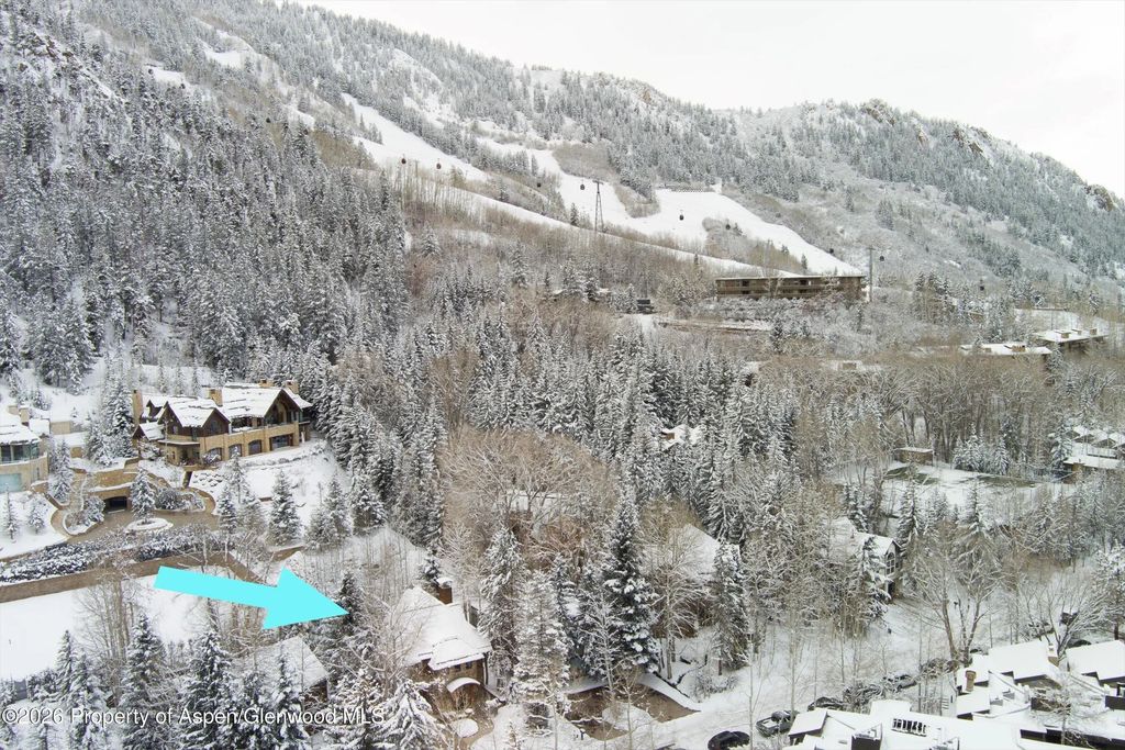 56 of 59 - 971 Ute Avenue, Aspen, CO