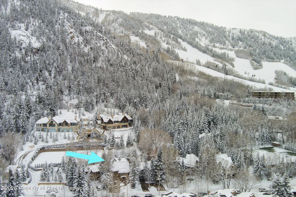 58 of 59 - 971 Ute Avenue, Aspen, CO