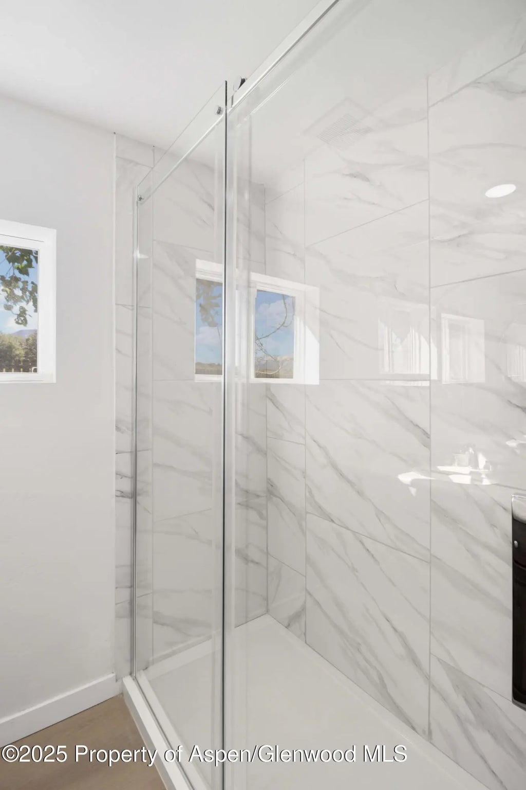 10 of 19 - 13 Silver Plume Drive, Parachute, CO