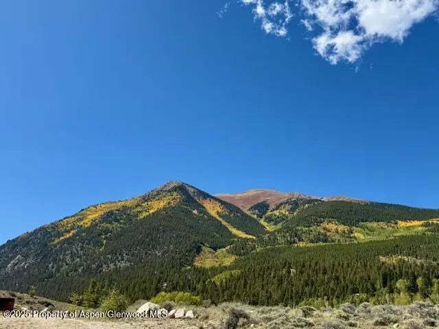 29 of 40 - 38 Lang Street, Twin Lakes, CO