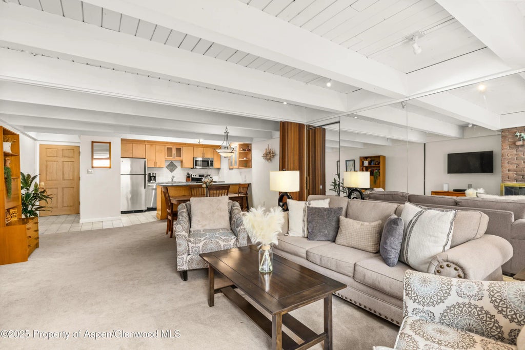 3 of 11 - 901 E Hyman Avenue 14, Aspen, CO