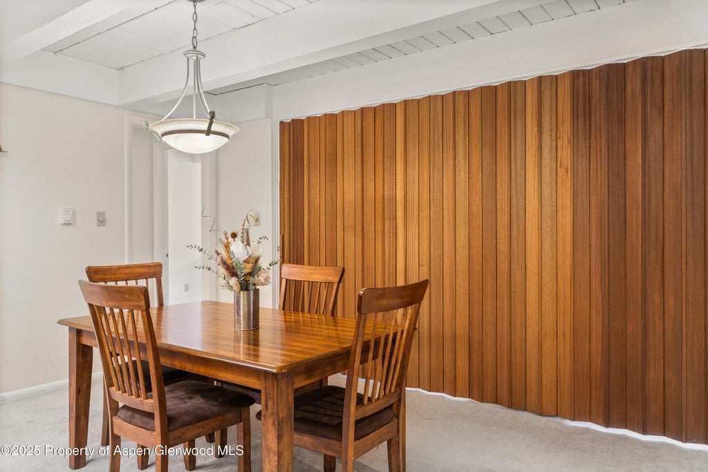5 of 11 - 901 E Hyman Avenue 14, Aspen, CO